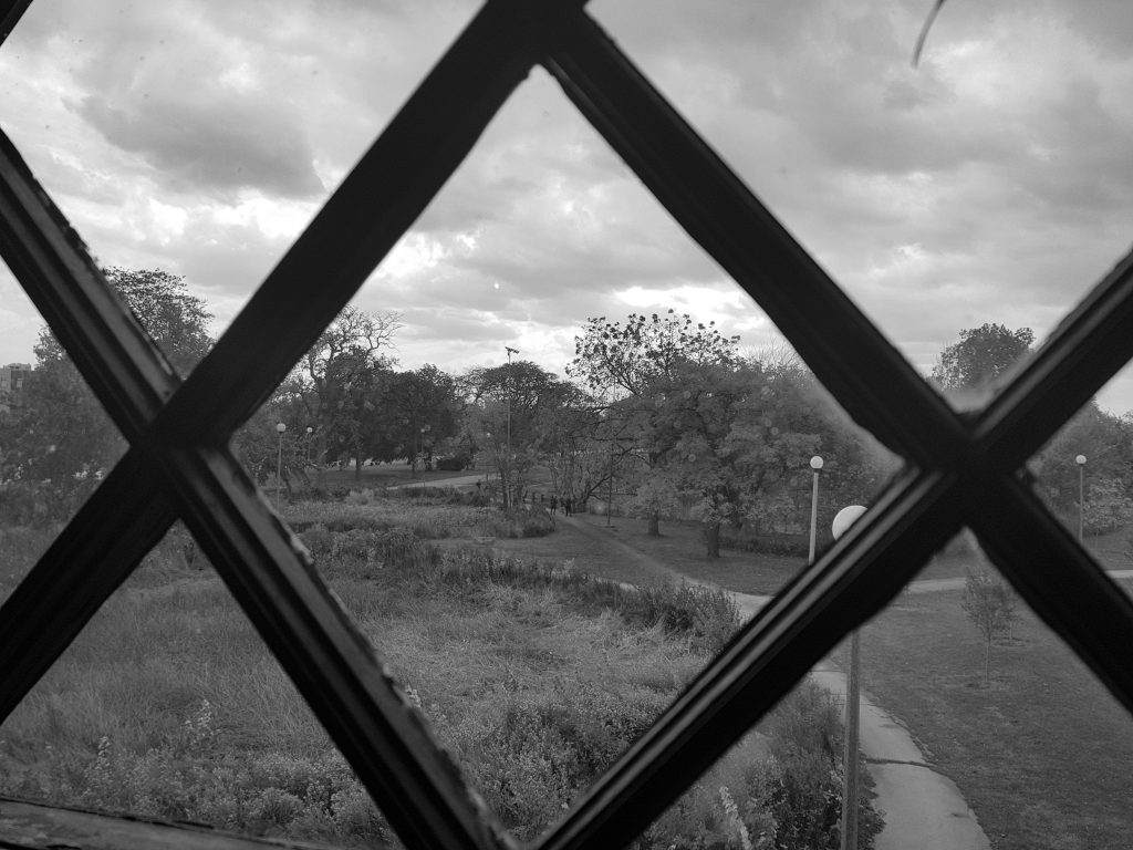 Humboldt Park view from inside National Museum of Puerto Rican Arts & Culture