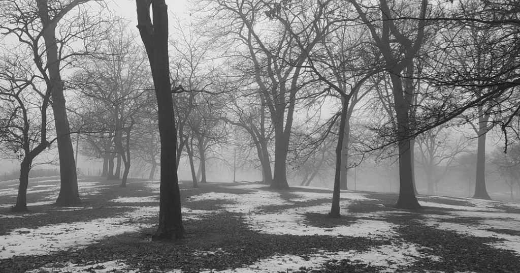 Humboldt Park in winter