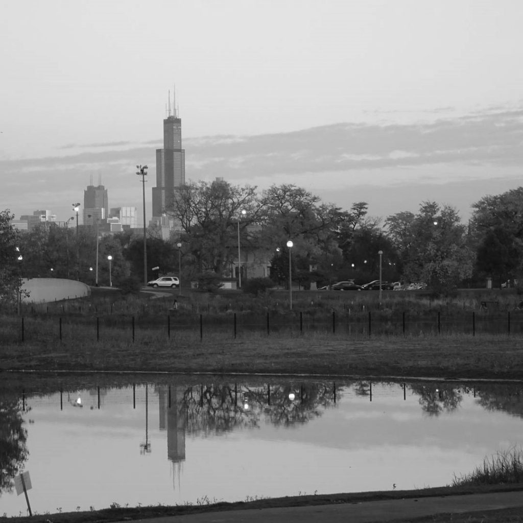 Humboldt Park lagoon reflection of sears tower