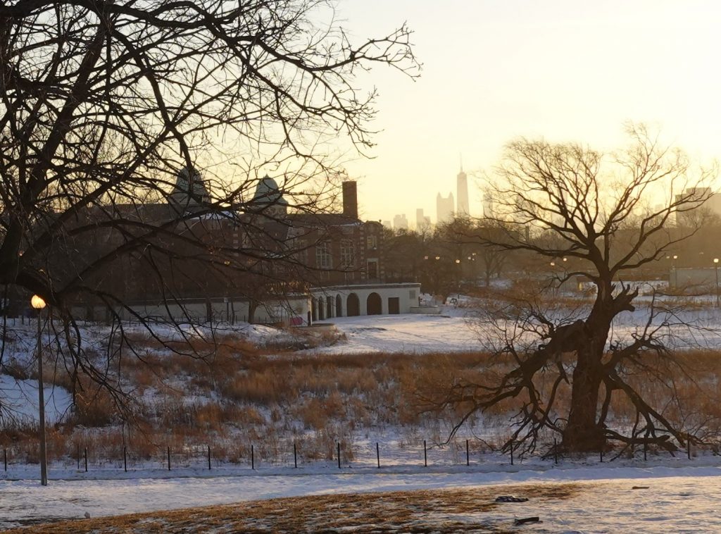 Sunrise over Humboldt Park