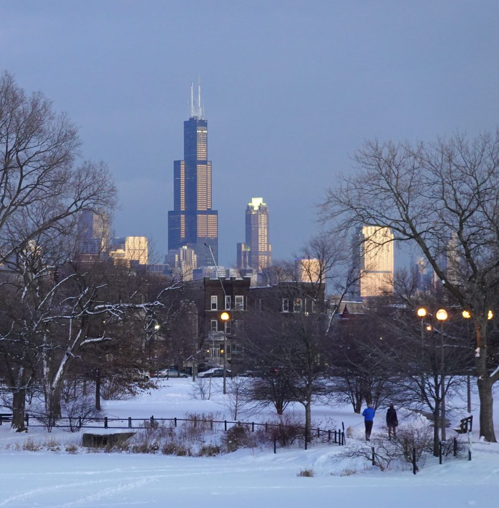 Humboldt Park with backdrop of Sears tower