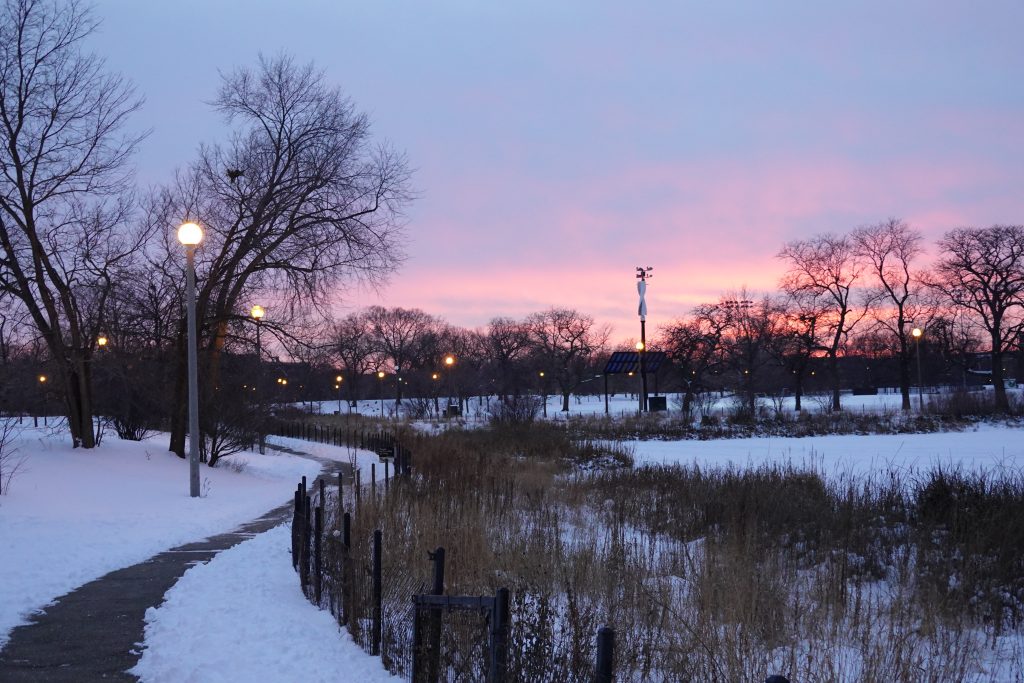 sunset over the park